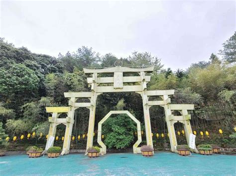 禪機山 仙佛寺|南投國姓）禪機山仙佛寺/日式庭園/古色古香/巨大蓮花。